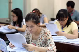 Ảnh chỉ có tính minh họa. (Ảnh: Phương Vy/TTXVN)