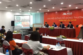 Các đại biểu tham dự Đại hội. (Ảnh: CTV/Vietnam+)