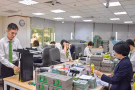 (Ảnh: CTV/Vietnam+)