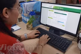 Ảnh minh họa. (Ảnh: PV/Vietnam+)