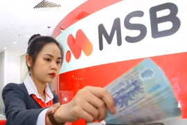 Ảnh minh họa. (Nguồn: CTV/Vietnam+)