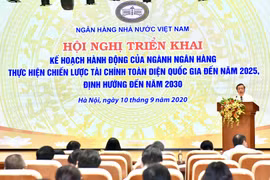 Toàn cảnh hội nghị. (Ảnh: CTV/Vietnam+)