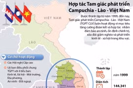 Nhấp chuột để xem kích thước chuẩn.