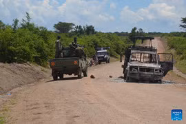 IS thừa nhận đứng sau vụ tấn công ở công viên quốc gia Uganda