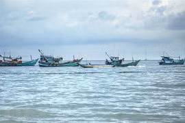 (Ảnh minh họa: Hồng Đạt/TTXVN)