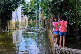 Những đứa trẻ ở Thôn Nam Hài-xã Nam Phương Tiến mỗi ngày vẫn vô tư vui đùa trên những kênh nước đường làng bẩn và đầy rác thải. (Ảnh: Trọng Đạt/TTXVN)