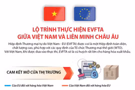 Lộ trình thực hiện EVFTA giữa Việt Nam và Liên minh châu Âu