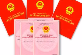 Truy tìm 19 sổ đỏ bị cán bộ văn phòng đăng ký đất đai tự ý “cho mượn”