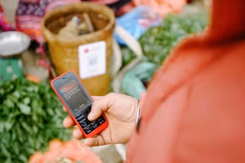 Cả ba nhà mạng lớn tại Việt Nam bao gồm Viettel, VinaPhone, MobiFone đã chính thức triển khai dịch vụ Mobile Money trên cả nước. (Ảnh minh họa)