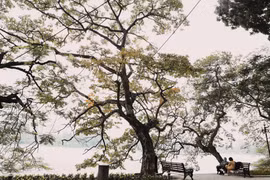 [Photo] Những khoảnh khắc lãng mạn của mùa đông Hà Nội