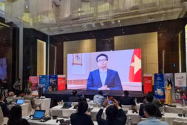Phó Thủ tưởng Vũ Đức Đam phát biểu tại sự kiện. (Ảnh: PV/Vietnam+)