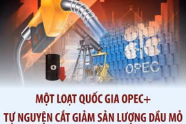 Một loạt quốc gia OPEC+ tự nguyện cắt giảm sản lượng dầu mỏ