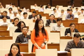 Đại biểu Quốc hội thành phố Hà Nội Vũ Thị Lưu Mai phát biểu. (Ảnh: Phương Hoa/TTXVN)