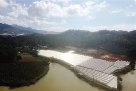 Hàng trăm m2 đất rừng tại hồ Đan Kia-Suối vàng bị san ủi trái phép để lấy đất sản xuất. (Ảnh: Đặng Tuấn/TTXVN)