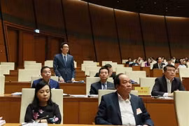 Phó Thủ tướng Vũ Đức Đam trả lời chất vấn của các Đại biểu Quốc hội. (Ảnh: Dương Giang/TTXVN)