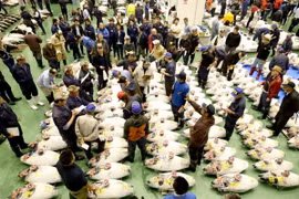 Chợ cá Toyosu. (Nguồn: Kyodo)