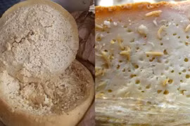 Phomai Casu Marzu. (Nguồn: daftarkulinerunik.web.id)