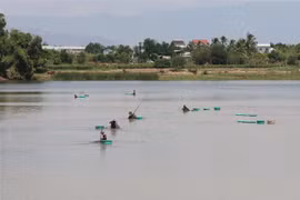 (Ảnh minh họa: Công Thử/TTXVN)