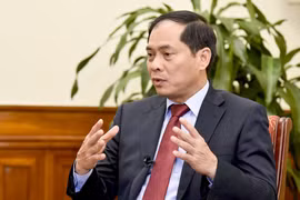 Thứ trưởng Thường trực Bộ Ngoại giao Bùi Thanh Sơn. (Ảnh: TTXVN)