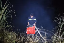 Khoảng 18 giờ ngày 28/6, người dân địa phương phát hiện đám cháy bùng phát tại rừng đặc dụng trên núi Vụng Quao, thôn Tràng An, xã Trường Yên, huyện Hoa Lư, tỉnh Ninh Bình.(Ảnh: Ninh Đức Phương/TTXVN)