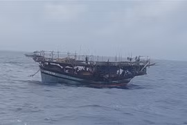 (Ảnh minh họa: TTXVN phát)