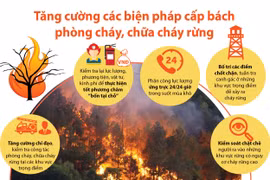 Tăng cường các biện pháp cấp bách phòng cháy, chữa cháy rừng