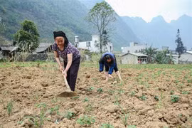Quốc hội: Không đánh đổi ưu tiên giải ngân nguồn vốn bằng mọi giá