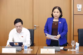 Đại biểu Quốc hội: Cần bổ sung, điều chỉnh chế tài về hành vi bỏ cọc