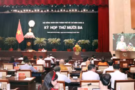 Bế mạc Kỳ họp thứ 13 Hội đồng Nhân dân Thành phố Hồ Chí Minh khóa X. (Ảnh: Xuân Khu/TTXVN)