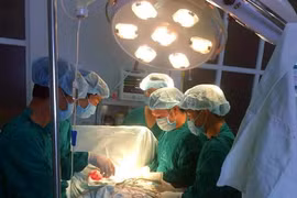 Ảnh minh họa. (Nguồn: TTXVN)