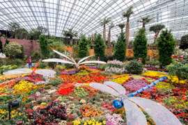 Khu vườn Gardens by the Bay ở Singapore. Ảnh minh họa. (Nguồn: pinterest.com)