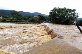  (Ảnh minh họa: Quốc Khánh/TTXVN)