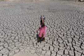 Cảnh hạn hán tại Ahmedabad, Ấn Độ. (Nguồn: AFP/TTXVN)