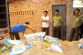 Lực lượng chức năng tiến hành tiêu hủy số phân bón giả, kém chất lượng. (Ảnh: Lê Thúy Hằng/TTXVN)