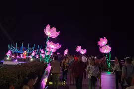 Các mô hình hoa đăng, vườn sen trong ngày hội. (Ảnh: Ánh Tuyết/TTXVN)