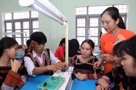 (Ảnh minh họa: Thanh Tùng/TTXVN)