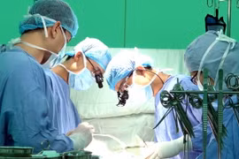 Ảnh chỉ có tính minh họa. (Ảnh: Phương Vy/TTXVN)