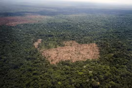 Rừng Amazon thuộc bang Para, Brazil. (Nguồn: AFP/TTXVN)