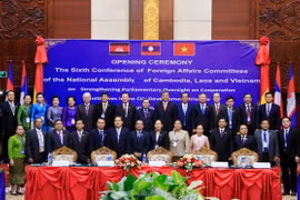 Các đại biểu tham dự Hội nghị chụp ảnh lưu niệm chung. (Ảnh: Phạm Kiên/Vietnam+)