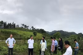 Tập đoàn Banyan Tree khảo sát xây dựng khách sạn siêu sang tại huyện Quản Bạ (Hà Giang). (Ảnh Minh Tâm/Vietnam+)