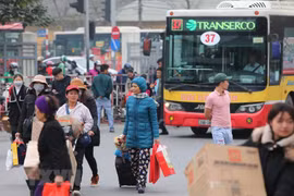 (Ảnh: Thành Đạt/TTXVN)