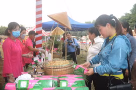 Người dân trải nghiệm các gian hàng ẩm thực Nam Bộ tại Liên hoan ẩm thực Nam bộ tỉnh Trà Vinh năm 2023. (Ảnh: Thanh Hòa/TTXVN)