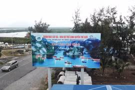 Khu dự trữ sinh quyển Thế giới Cát Bà. (Ảnh: PV/Vietnam+)