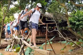 Du khách quốc tế trải nghiệm đi cầu khỉ tại cù lao Thới Sơn. (Ảnh: An Hiếu/TTXVN)