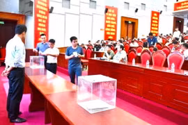 Phiên đấu giá 51 thửa đất tại xã Liên Mạc, huyện Mê Linh, Hà Nội, ngày 28/6. (Ảnh: TTXVN phát)