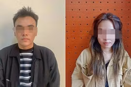 Hai đối tượng Võ Thị Thanh Lan và Nguyễn Tấn Long. (Ảnh: TTXVN phát)