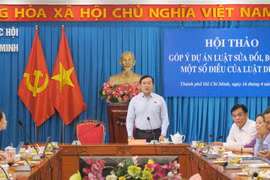 Quang cảnh Hội thảo. (Ảnh: Đinh Hằng/TTXVN)