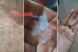 Một số hình ảnh người dân cung cấp về mưa đá và đăng tải trên mạng xã hội. (Nguồn: Báo Bình Phước)
