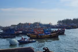 Những tàu cá "3 không" đã được UBND tỉnh chỉ đạo các địa phương phải sắp xếp những nơi đậu riêng để dễ kiểm tra, giám sát chặt chẽ. (Ảnh: TTXVN phát)