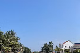  Lênh đênh ngắm Rừng dừa nước Bảy Mẫu 